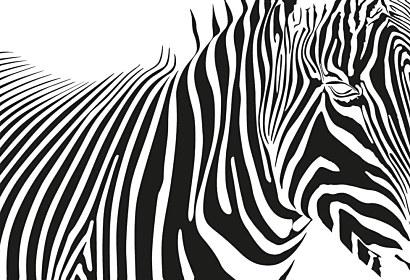 Černobílá tapeta Zebra 1773